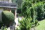 Platz genug für drei Generationen unter einem Dach - der Schwiegermutter, dem Flügel und einem Perd - Blick auf die großzügige Terrasse