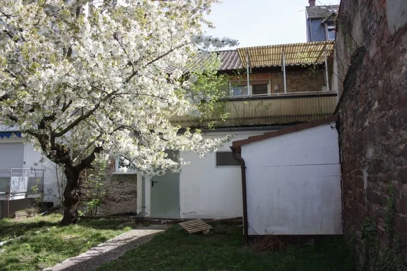 Provisionsfrei für Käufer - Mehrfamilienhaus in Durlacher Altstadt mit Abrissgrundstück - Garten mit altem Baum