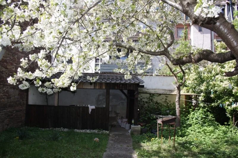 Provisionsfrei für Käufer - Mehrfamilienhaus in Durlacher Altstadt mit Abrissgrundstück - Garten mit Remise